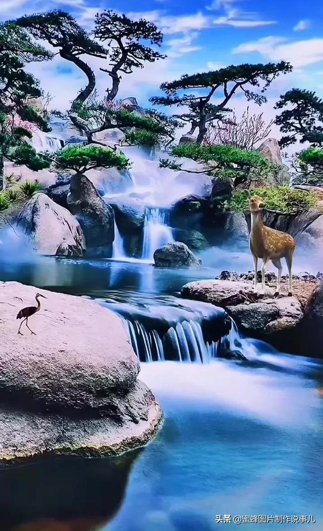 老山羊救援